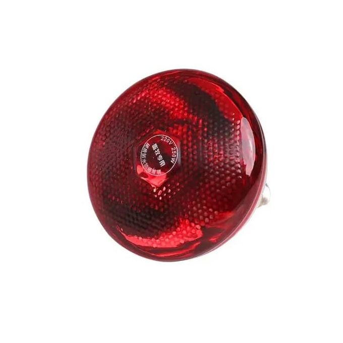 Ampoule Chauffante 220 Volt 250W, Production De Chaleur Pour Poussins, Pintadeaux Ou Couveuses