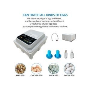 Entièrement Automatique Couveuse Volaille, Couveuse 24 Oeufs,Incubateur D&rsquo;oeuf