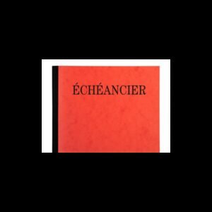 EXACOMPTA Piqûre 21x19cm échéancier tracé journal 80 pages – Couleurs assorties