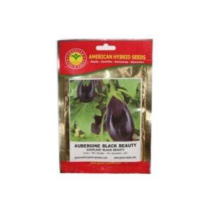 GREEN SEEDS Semence Aubergine Black Beauty – Sachet De 10G