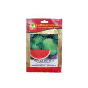 GREEN SEEDS Semence Pasteque Greybelle – Sachet de 10g