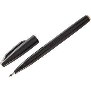 Stylo Feutre Pentel Paquet De 12 PCS